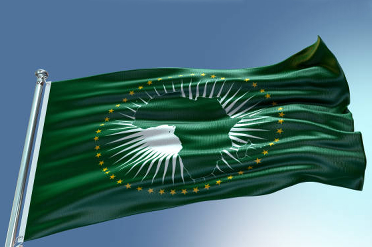 Africa Trade And Investment Brief